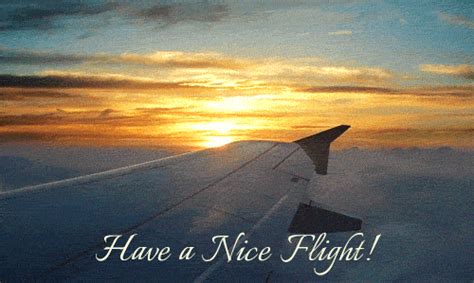 have a great flight gif|Have a Nice Flight GIFs. 20 Animated Images With .